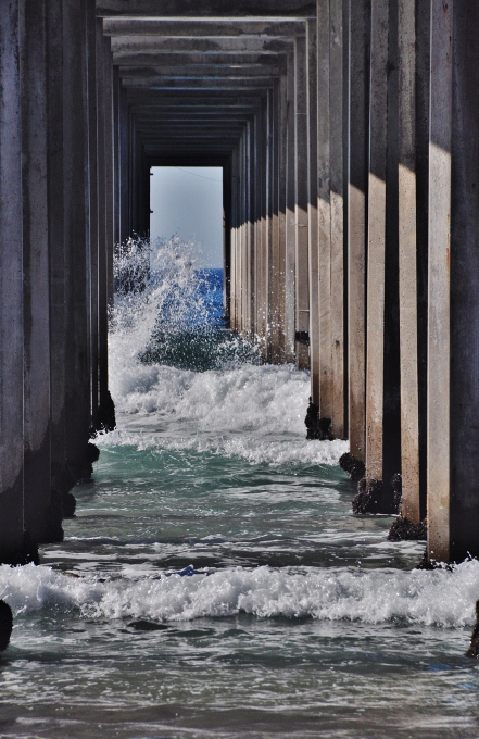 pilings of the Scripps pier